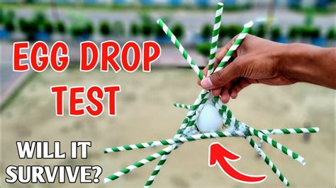 egg drop test|egg drop test ideas.